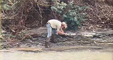 Fossil Hunting
